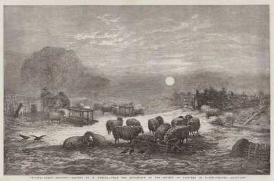 Invierno, Alimentación de Ovejas, de la Exposición de la Sociedad de Pintores en Acuarela de Edward Duncan